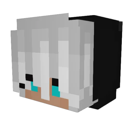 SraEduarda_ Minecraft avatar head, 3D render