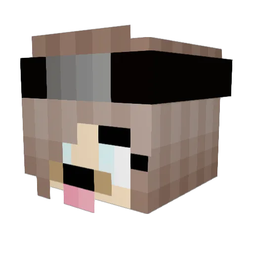 SraLaika Minecraft avatar head, 3D render