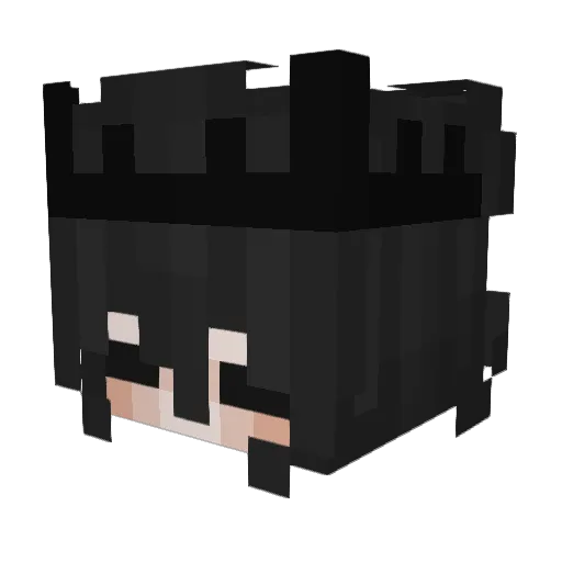 SraPato Minecraft avatar head, 3D render