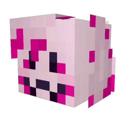 SraPuuppy Minecraft avatar head, 3D render