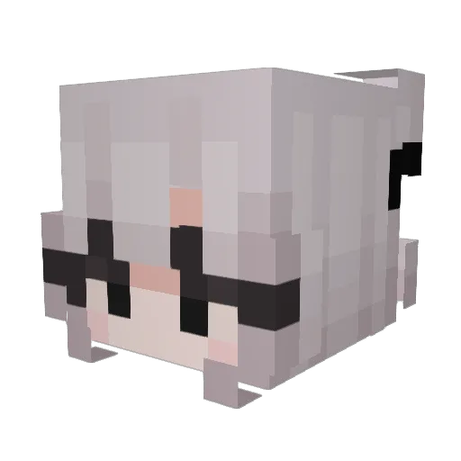 SraTiki Minecraft avatar head, 3D render