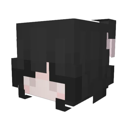 Srbi Minecraft avatar head, 3D render
