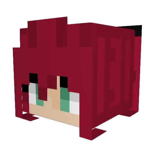 Srdu93 Minecraft avatar head, 3D render