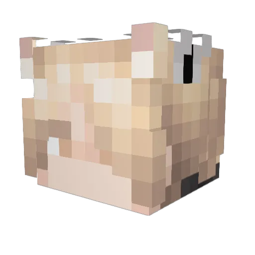 Sreberkot Minecraft avatar head, 3D render
