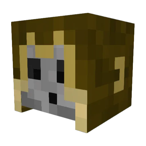 Sredleg Minecraft avatar head, 3D render