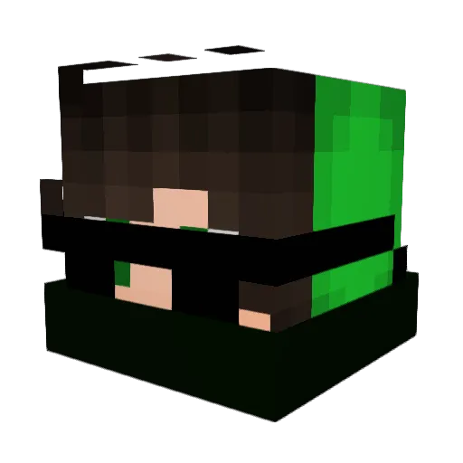 SreeIsHere Minecraft avatar head, 3D render