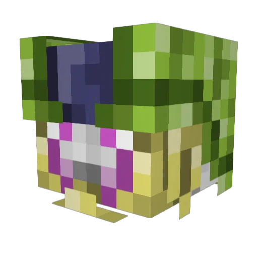 Srell Minecraft avatar head, 3D render