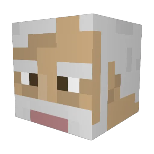 Sresht Minecraft avatar head, 3D render