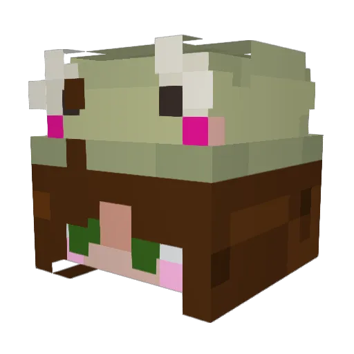 Srgnt_Frog Minecraft avatar head, 3D render