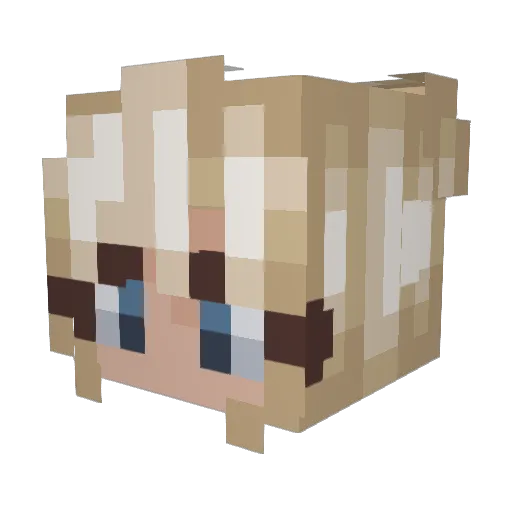 Srooka Minecraft avatar head, 3D render