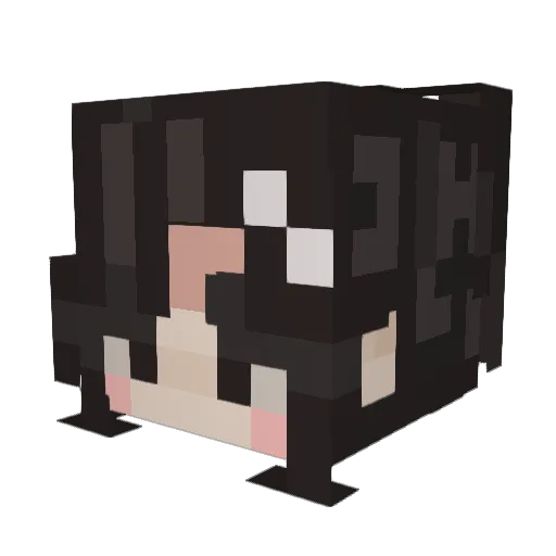 Sroy21 Minecraft avatar head, 3D render