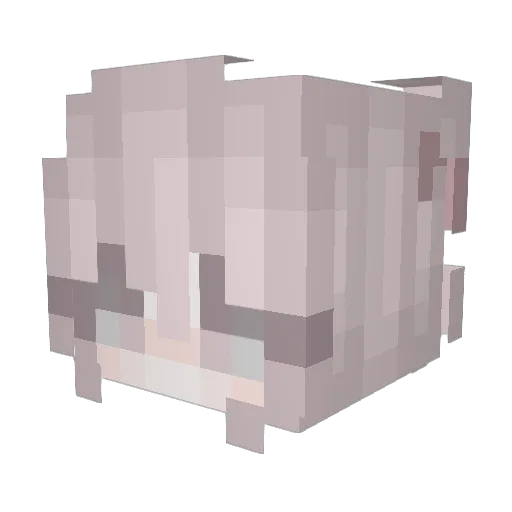 Srpinmuuuu_ Minecraft avatar head, 3D render