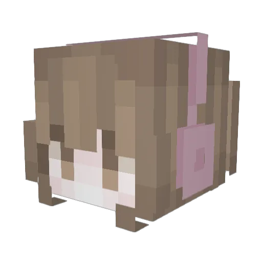 SrtaAri_ Minecraft avatar head, 3D render