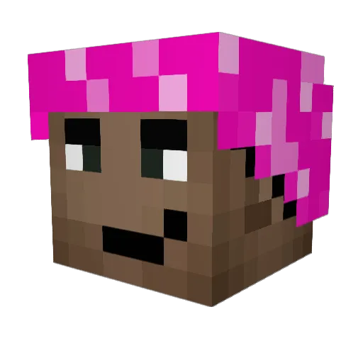 Sruba323 Minecraft avatar head, 3D render