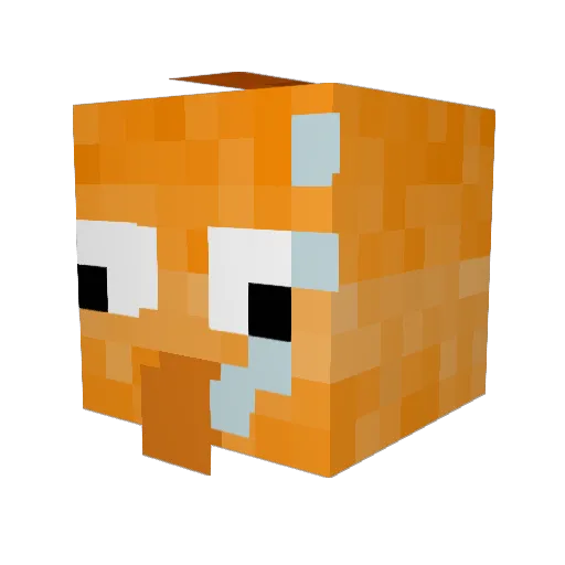 SrubbGaminggg Minecraft avatar head, 3D render