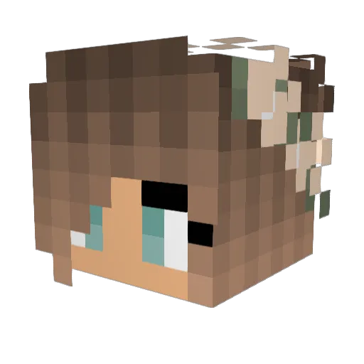 SryImNotLegend Minecraft avatar head, 3D render