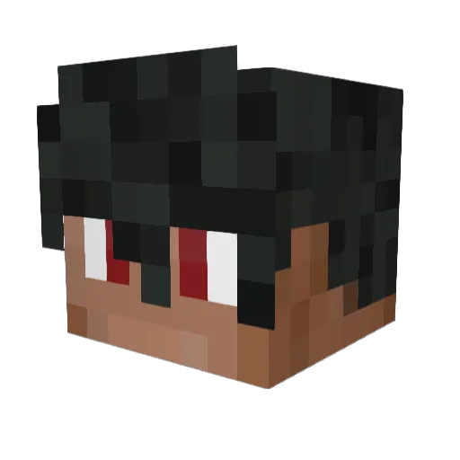 SryLucas Minecraft avatar head, 3D render