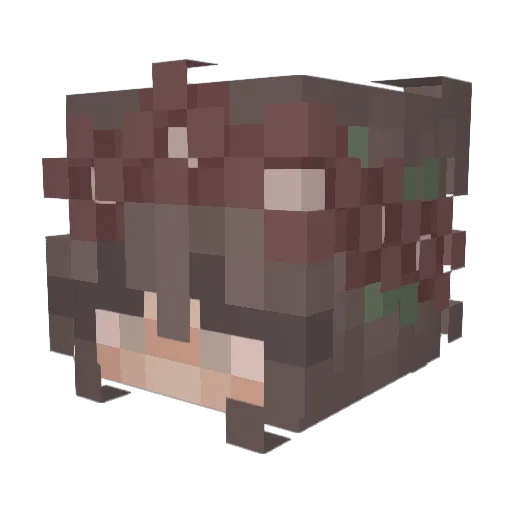 Ss_Maiko_Ss Minecraft avatar head, 3D render