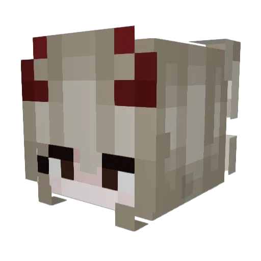 Ssa_ra Minecraft avatar head, 3D render