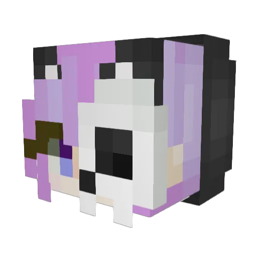 Ssaakick Minecraft avatar head, 3D render