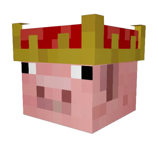 Ssabbia Minecraft avatar head, 3D render