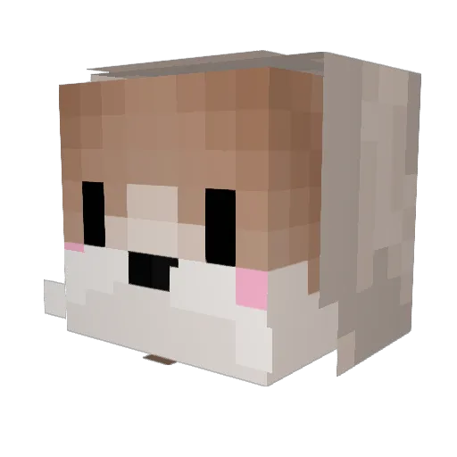 Ssal_9 Minecraft avatar head, 3D render