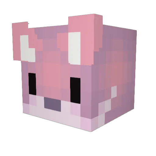 Ssavage_Morals Minecraft avatar head, 3D render