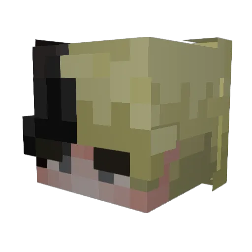SseSsame Minecraft avatar head, 3D render