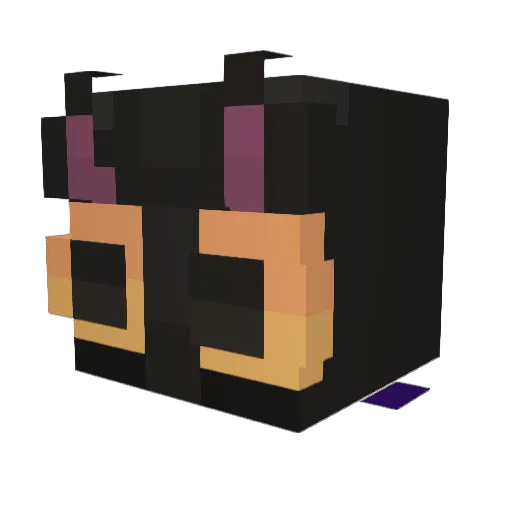 Sseneed Minecraft avatar head, 3D render
