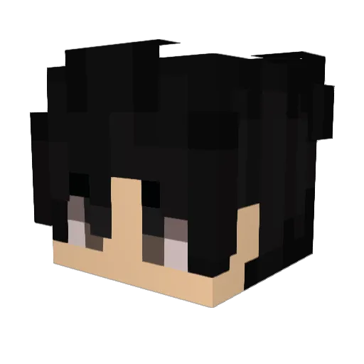 Ssergio_ Minecraft avatar head, 3D render