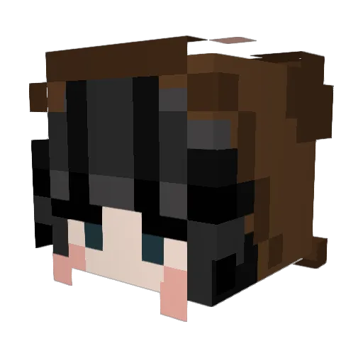 Sshmoopy Minecraft avatar head, 3D render