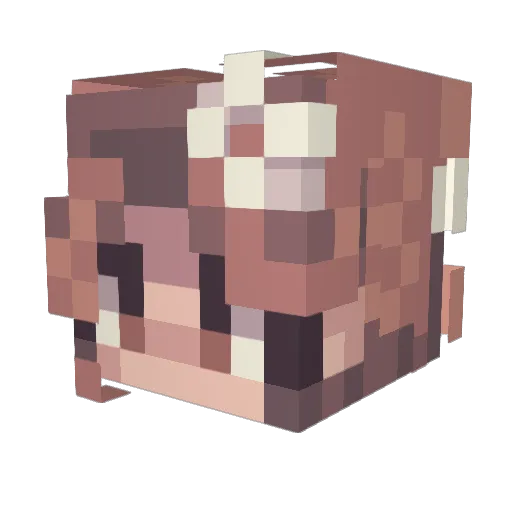 Ssiin Minecraft avatar head, 3D render