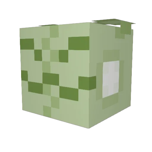 Ssippu Minecraft avatar head, 3D render