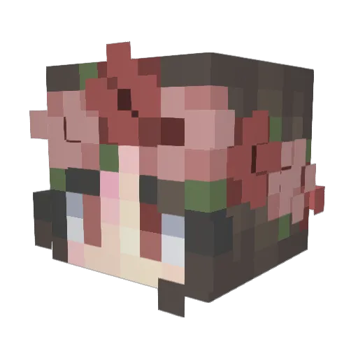 SslemperCoinper Minecraft avatar head, 3D render
