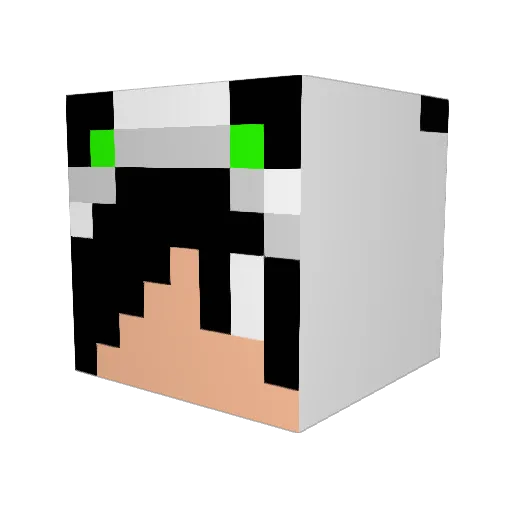 Ssll21 Minecraft avatar head, 3D render