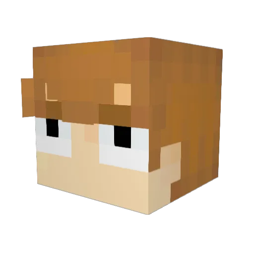 Ssniiffles Minecraft avatar head, 3D render