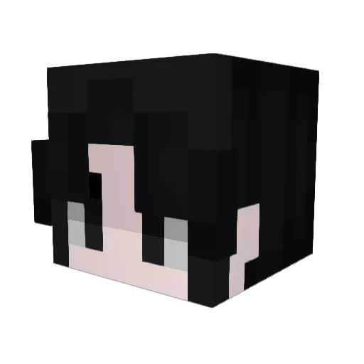 Ssnipegamer Minecraft avatar head, 3D render
