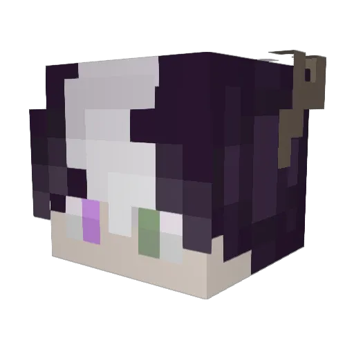 Ssouptastic Minecraft avatar head, 3D render