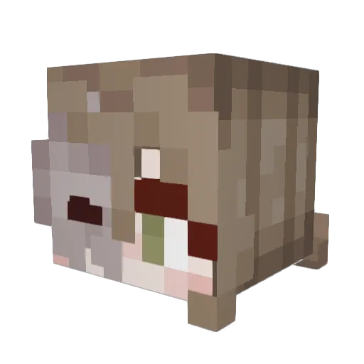 Sspall Minecraft avatar head, 3D render
