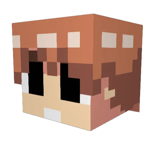 SsrSovann Minecraft avatar head, 3D render
