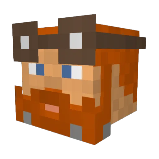 Sssssam5 Minecraft avatar head, 3D render