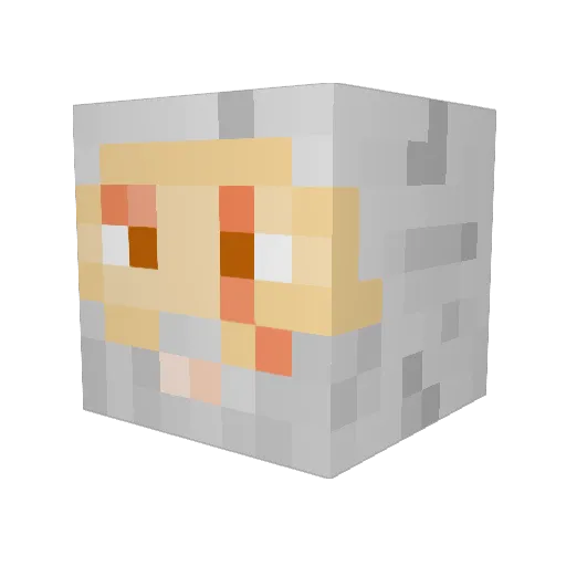 Ssteve26 Minecraft avatar head, 3D render