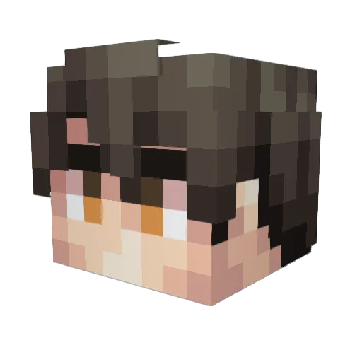 SsumSomeSum Minecraft avatar head, 3D render