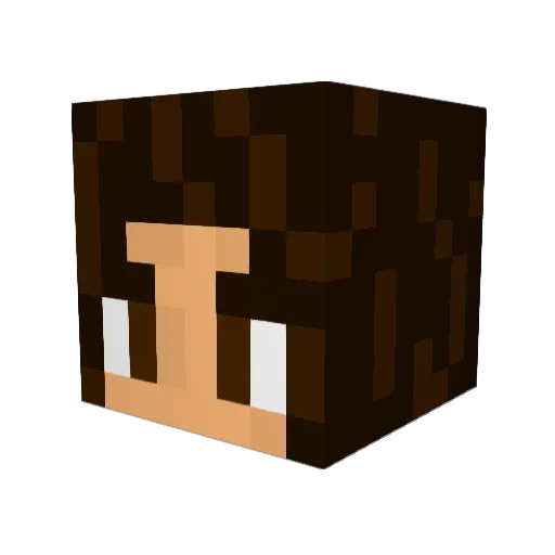 Ssunkisss Minecraft avatar head, 3D render