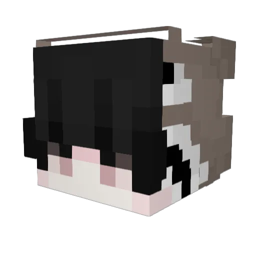 Sswxg Minecraft avatar head, 3D render