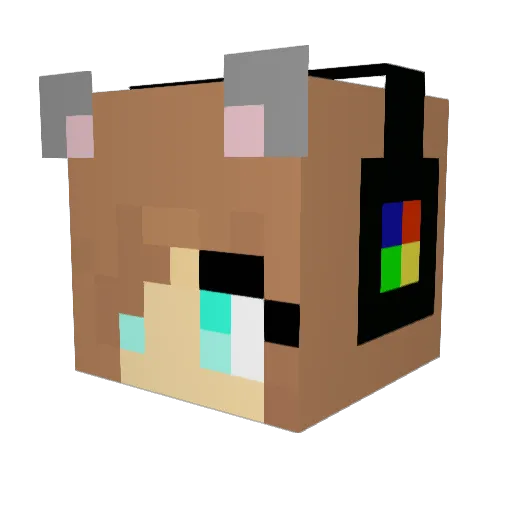St0rmDoesMC Minecraft avatar head, 3D render