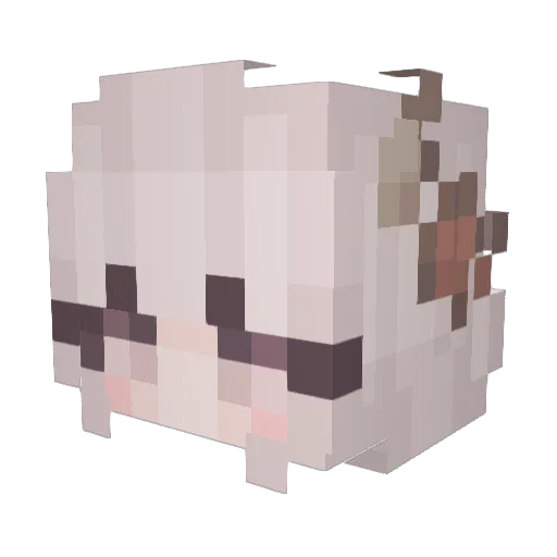 St0rmFly25 Minecraft avatar head, 3D render