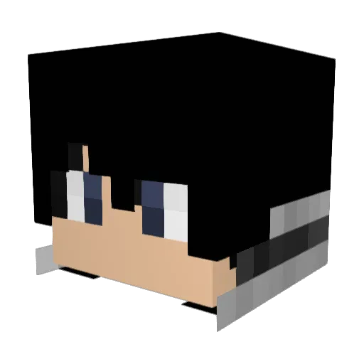 St0rm_1ce Minecraft avatar head, 3D render