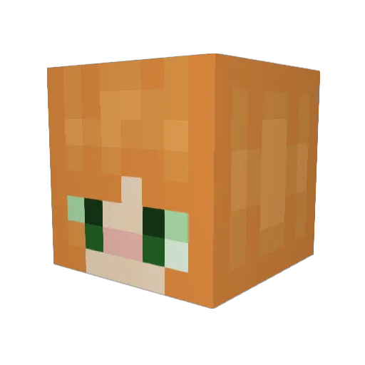 St0rmagedd0n Minecraft avatar head, 3D render