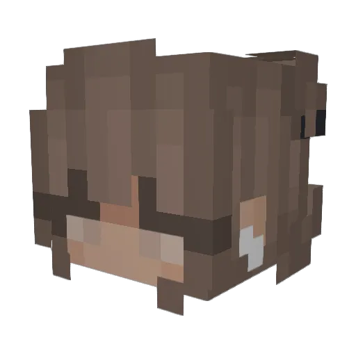 St0rmz33 Minecraft avatar head, 3D render